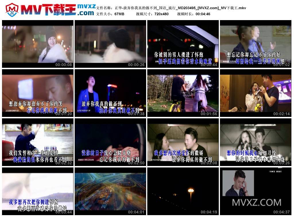 正华-放弃你我真的做不到_国语_流行_MD203495